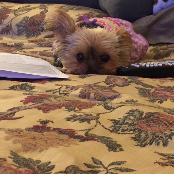 Meet your Posher, Katherine - Picture 6 of 8